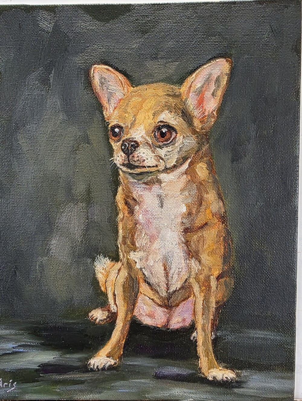 Abstract oil Painting cute dog, Chihuahua